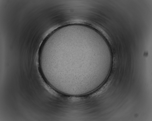 X0000100861034200807181131