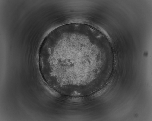 X0000100861035200807181131