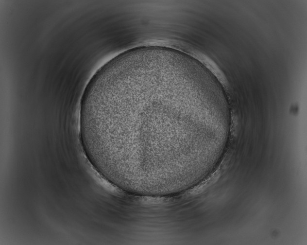 X0000100861036200807181131