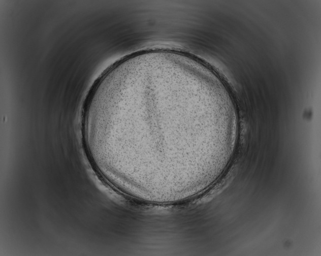 X0000100861038200807181131