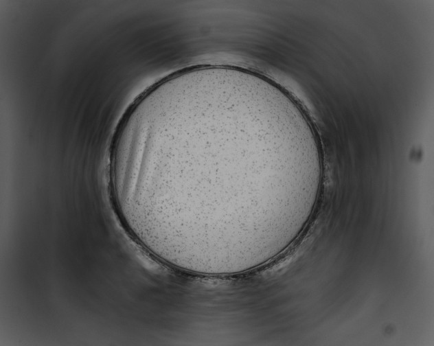 X0000100861040200807181131