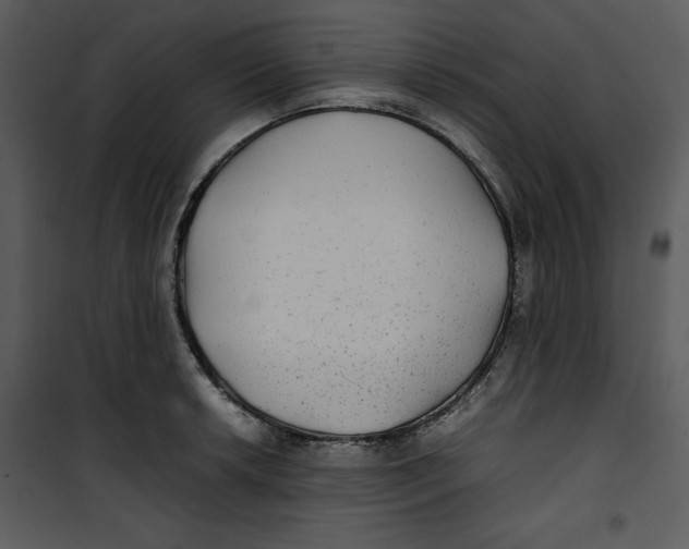 X0000100861042200807181131