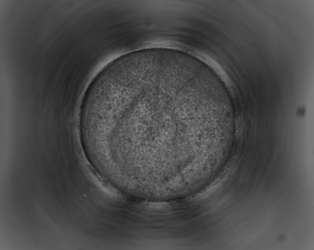 X0000100861043200807181131