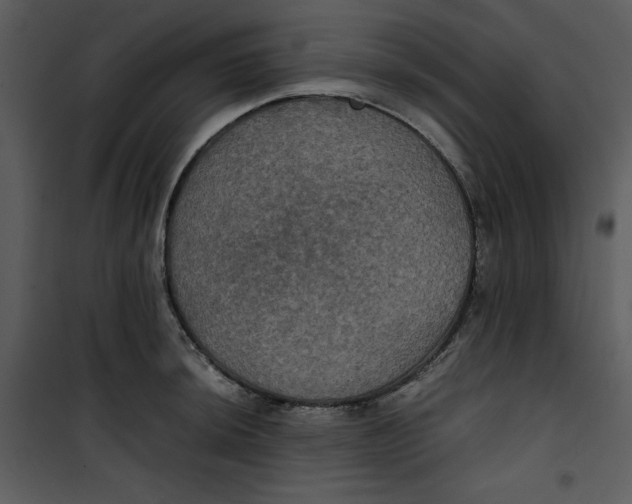 X0000100861044200807181131