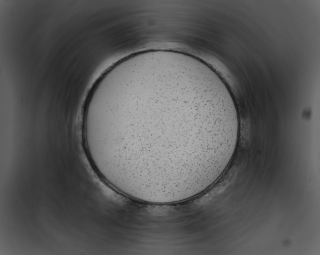 X0000100861046200807181131