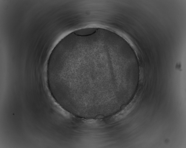 X0000100861048200807181131