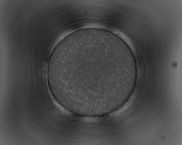 X0000100861049200807181131