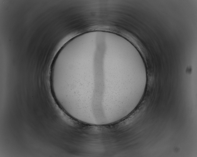 X0000100861050200807181131