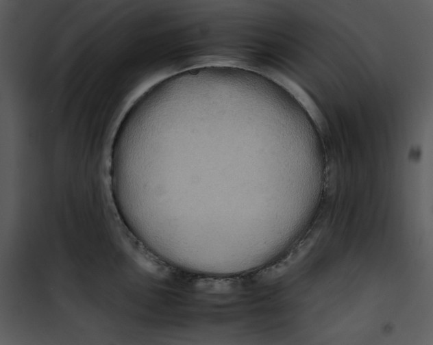 X0000100861051200807181131