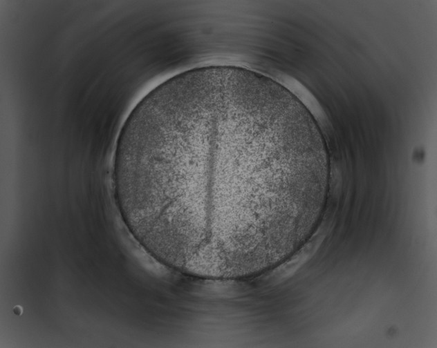 X0000100861052200807181131