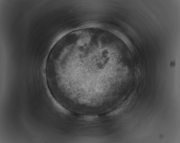 X0000100861055200807181132