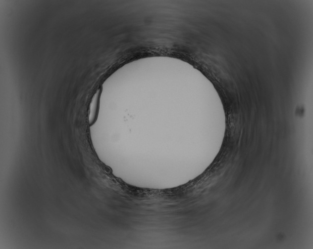 X0000100861057200807181131