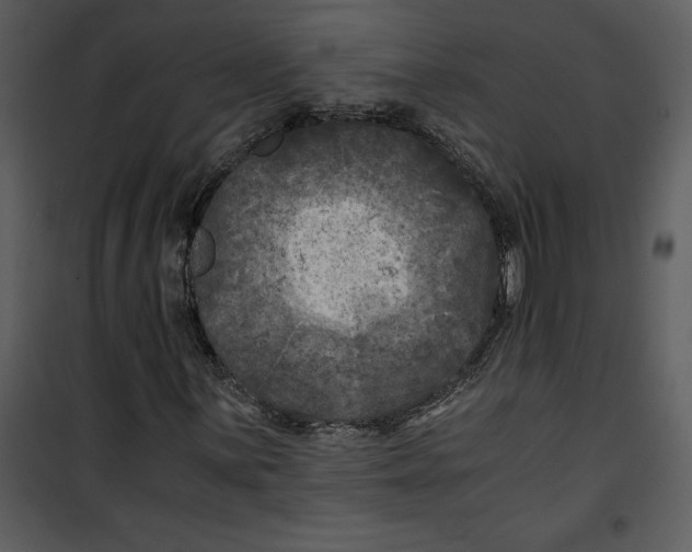 X0000100861059200807181131