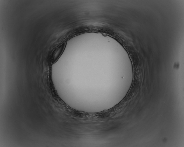 X0000100861061200807181131