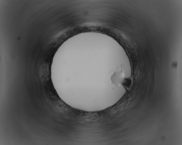 X0000100861062200807181131