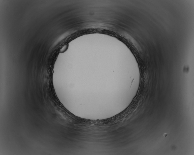 X0000100861064200807181131