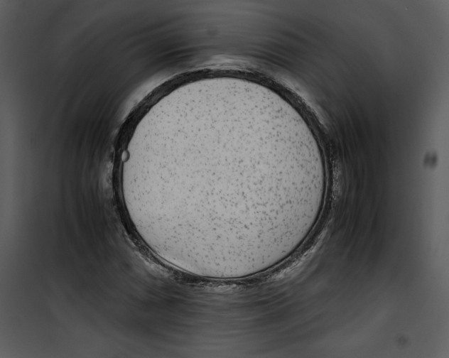 X0000100861066200807181131