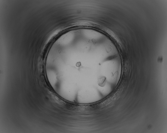 X0000100861067200807181131