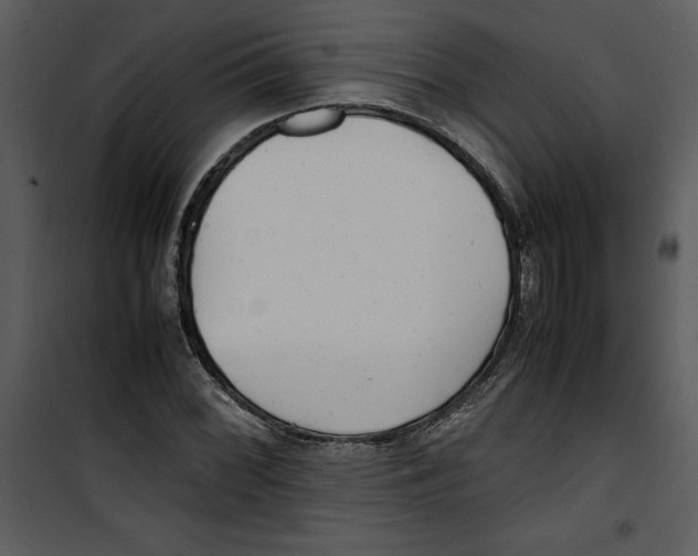 X0000100861068200807181131