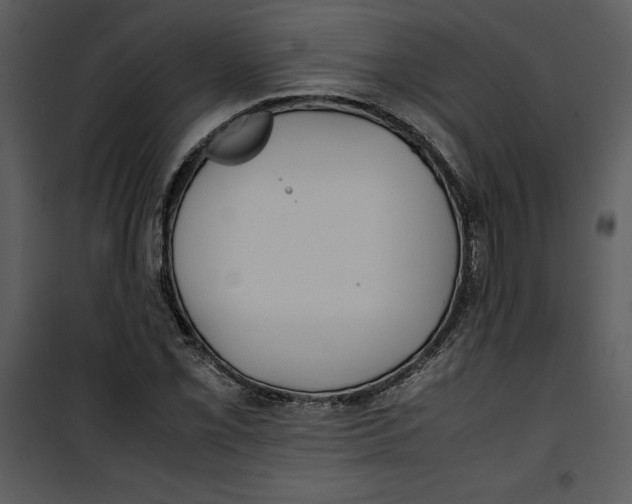 X0000100861069200807181131