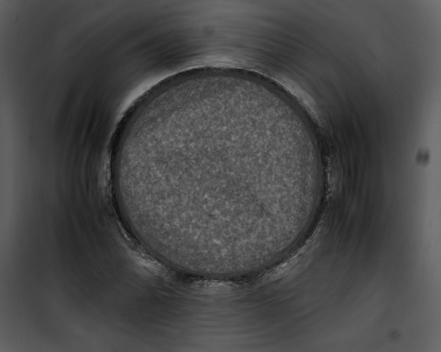 X0000100861070200807181130