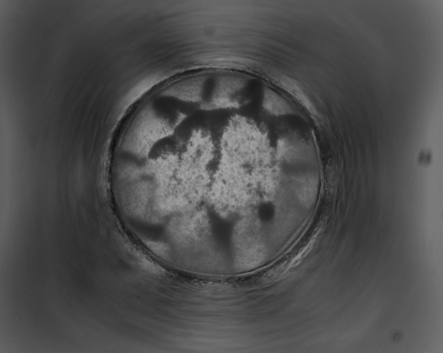 X0000100861071200807181130