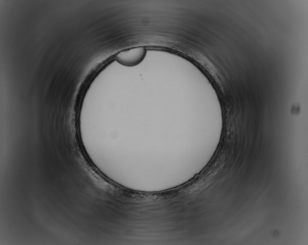 X0000100861072200807181130