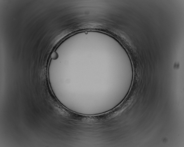 X0000100861073200807181130