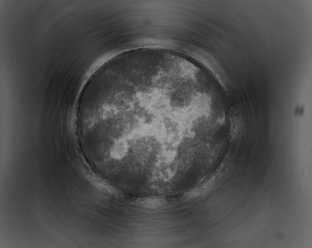 X0000100861074200807181130