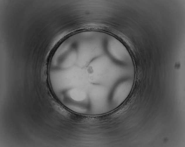 X0000100861075200807181130