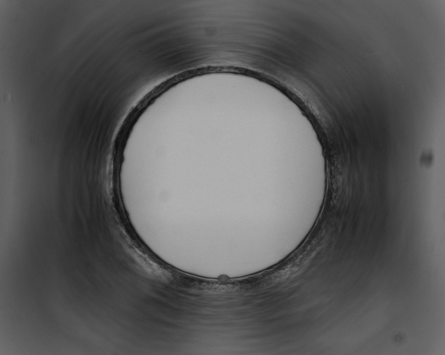 X0000100861076200807181130