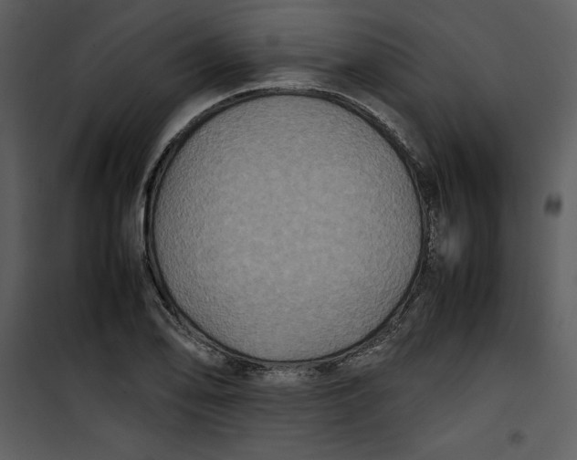 X0000100861078200807181130