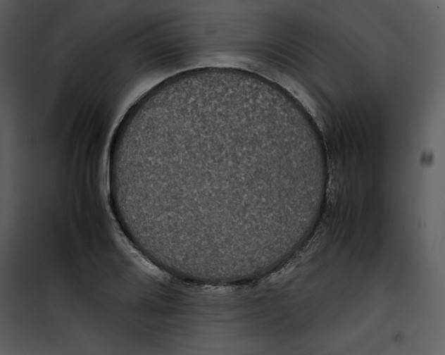 X0000100861080200807181130