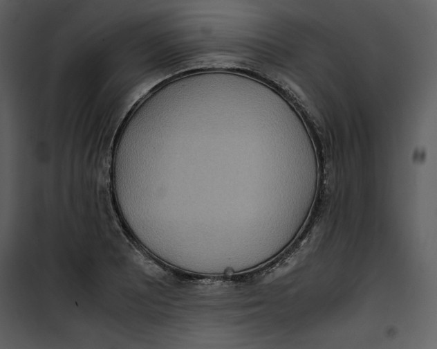 X0000100861081200807181130