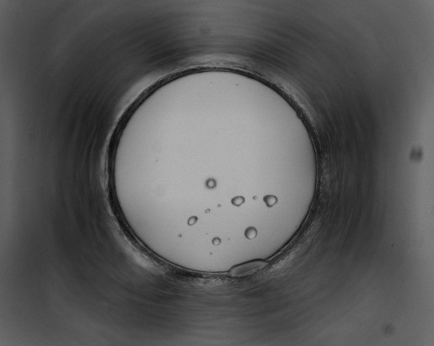 X0000100861082200807181130