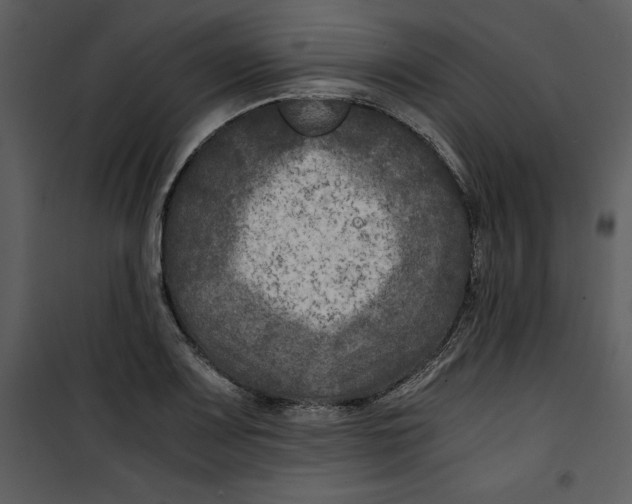 X0000100861083200807181130