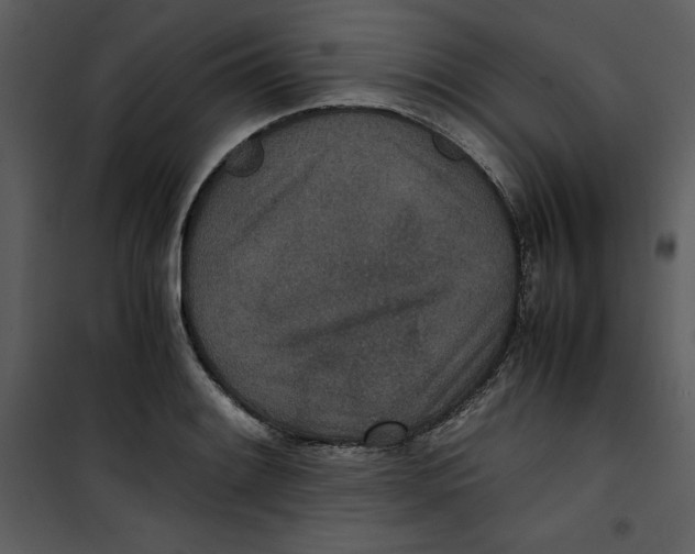 X0000100861084200807181130