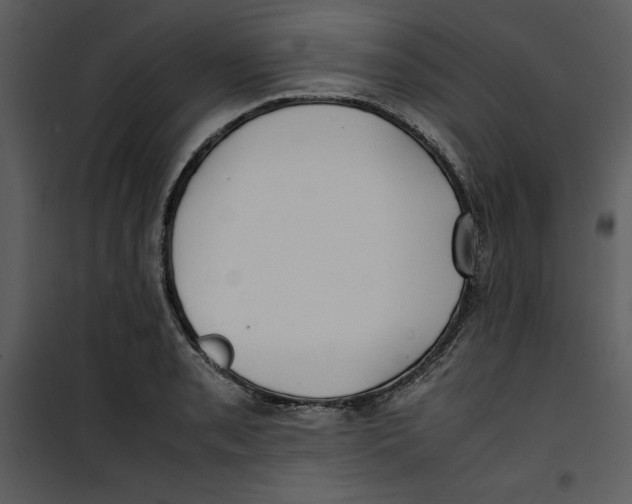 X0000100861085200807181130