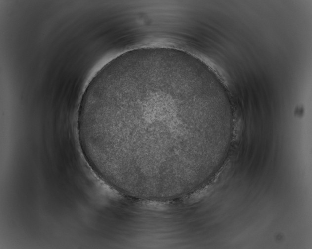 X0000100861086200807181130