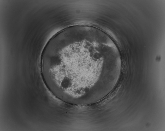 X0000100861087200807181130