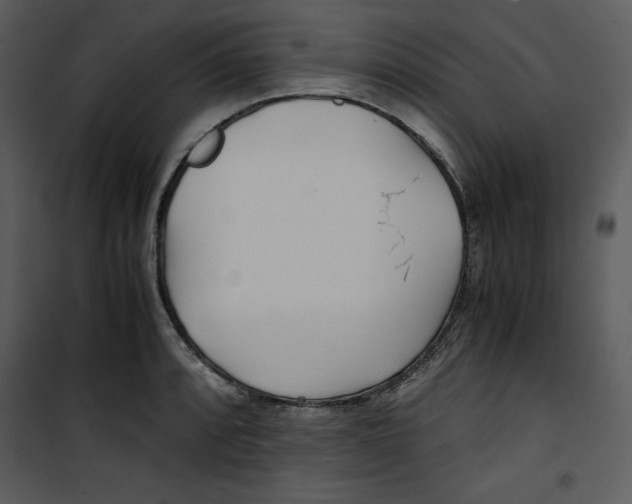 X0000100861088200807181130