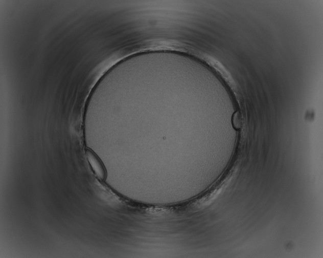 X0000100861089200807181130