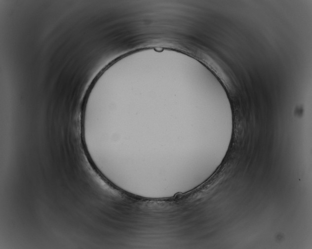 X0000100861092200807181130