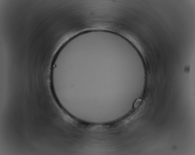 X0000100861093200807181130