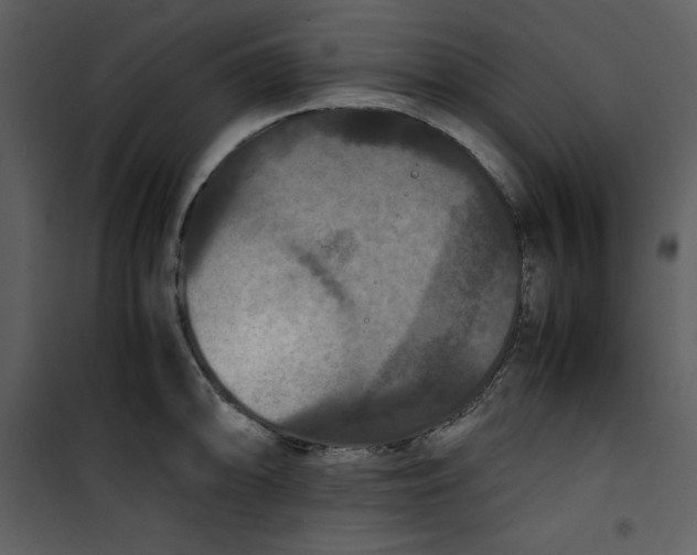 X0000100861094200807181130