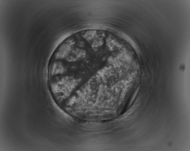 X0000100861095200807181130