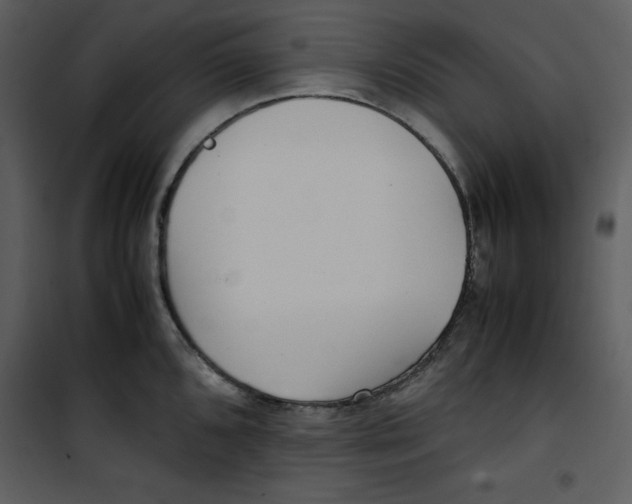 X0000100861096200807181130