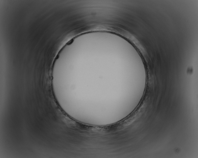 X0000100861097200807181130