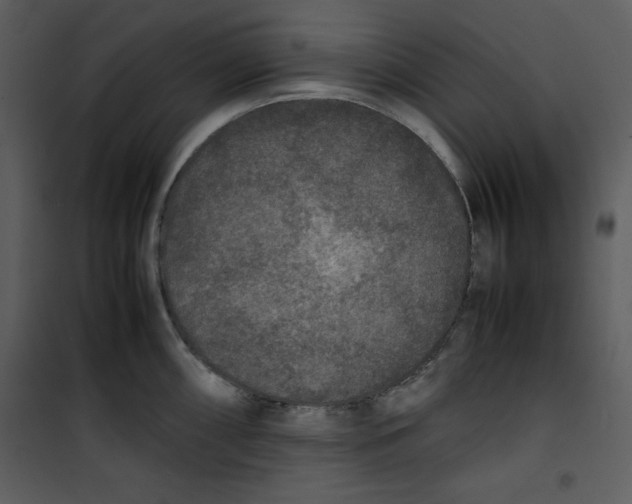 X0000100861098200807181130