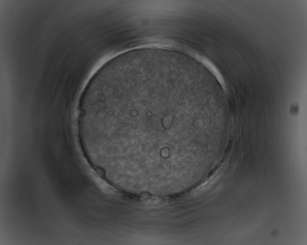 X0000100861099200807181130